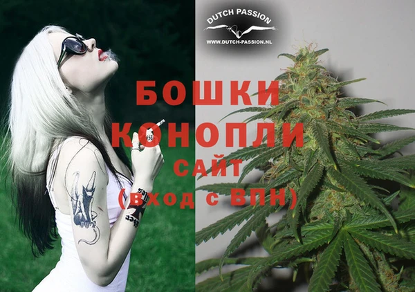 сатива Вязники