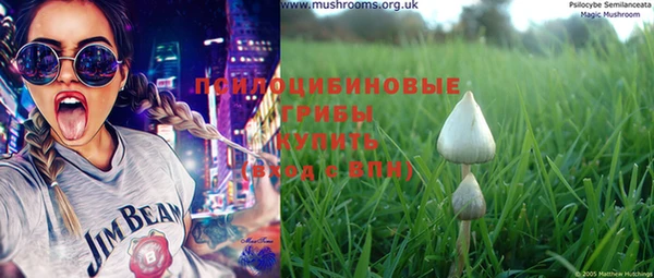 сатива Вязники