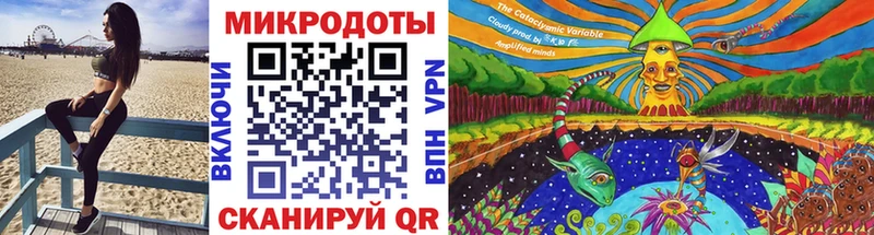 Псилоцибиновые грибы Psilocybe  Северская 