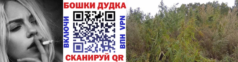 цена   mega как зайти  Бошки Шишки AK-47  Северская 